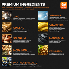 Image 5 for 4Him Testobalance Testosterone Supplements For Men 60 Vegan Tablets