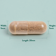 Image 4 for Maximum Strength Ginkgo Biloba 120mg 100 Capsules