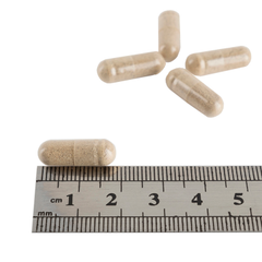 Image 2 for Maximum Strength Ginkgo Biloba 120mg 30 Capsules