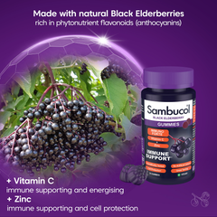 Image 3 for Immuno Forte Black Elderberry 30 Gummies