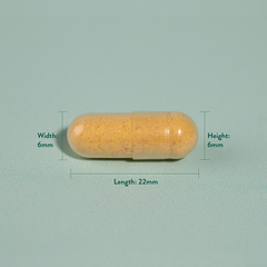 Image 4 for Turmeric 500mg 90 Capsules