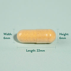 Image 4 for Turmeric 500mg 240 Capsules