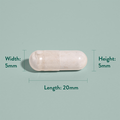 Image 4 for Gentle Iron 20mg 90 Capsules