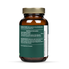 Image 3 for Milk Thistle 100mg 60 Capsules